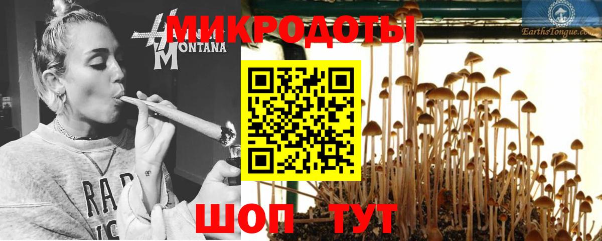 Кашира  Галлюциногенные грибы Psilocybe  наркошоп  Галлюциногенные грибы Psilocybe  Вход с VPN 